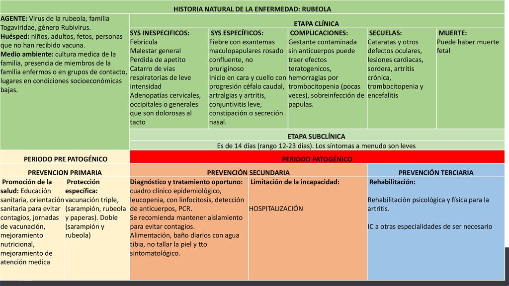 Enfermedades Inmunoprevenibles Rubeola Ppt Descargar